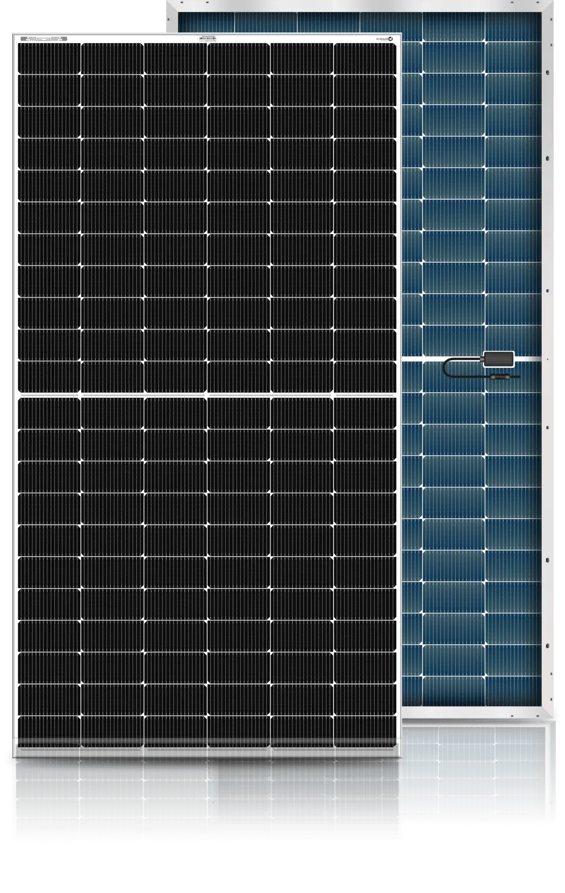Panel